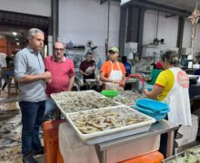 Tartarugalzinho quer ser o maior polo de criação de peixes e camarão do Amapá
