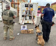 Cadela da polícia encontra 30 kg de cocaína em carga de açaí