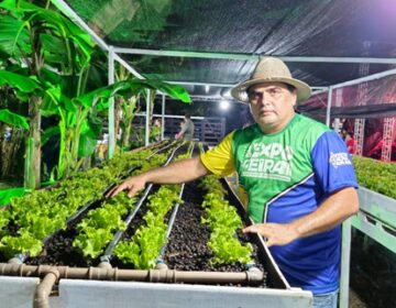Areia e caroço de açaí adaptam cultivo hidropônico ao clima do Amapá