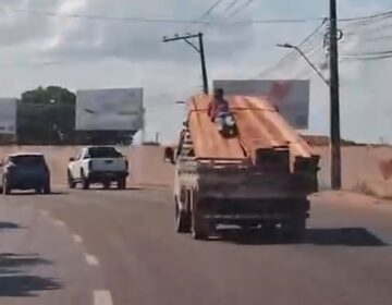 Homem é amarrado em cima de caminhão que transportava madeira