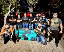 Denarc fecha 2025 com 760 kg de drogas e meio milhão de reais apreendidos