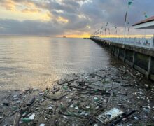 Jornalista registra Rio Amazonas tomado de lixo na orla de Macapá: “humanos imundos”