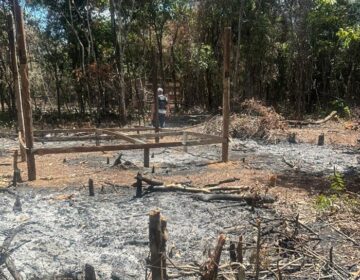 8 são presos após desmatamento e venda ilegal de lotes em área pública de Macapá