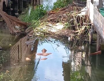 Jovem é assassinado em área de ponte ao sair para comprar lanche com a namorada