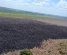 Operação busca autores de queimadas criminosas ao redor de reserva biológica do Amapá