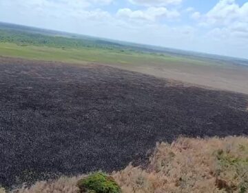 Operação busca autores de queimadas criminosas ao redor de reserva biológica do Amapá