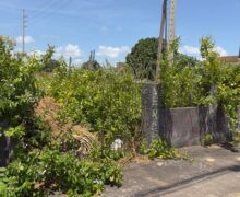 MP investiga donos de terrenos abandonados e cobra soluções da prefeitura