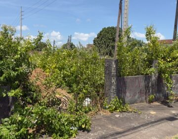 MP investiga donos de terrenos abandonados e cobra soluções da prefeitura