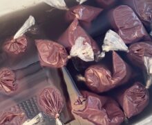 Casos de doença de Chagas sobem para 6 em Macapá