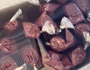 Casos de doença de Chagas sobem para 6 em Macapá