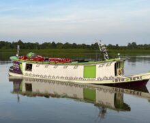 Nova rota reduz pela metade o tempo de transporte e mantém qualidade do açaí do Bailique