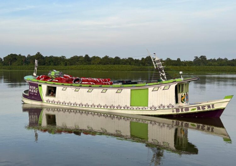 Nova rota reduz pela metade o tempo de transporte e mantém qualidade do açaí do Bailique