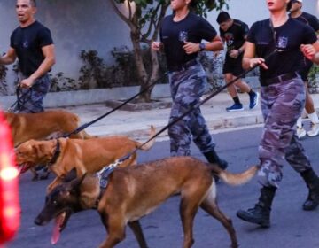 Corrida do Bope terá prova especial com cães