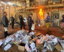 Amapá se livra de 300 kg de drogas