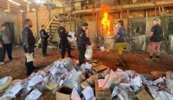 Amapá se livra de 300 kg de drogas