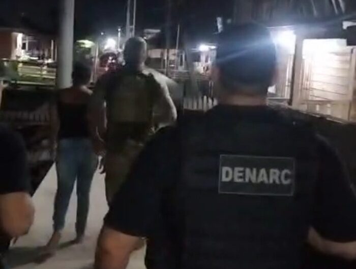Denarc apreende tablete de cocaína e arma de uso restrito