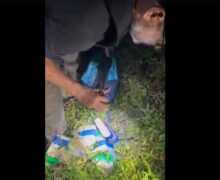 Traficante do CV é preso com 6 kg de drogas e arma que usava para combater desafetos