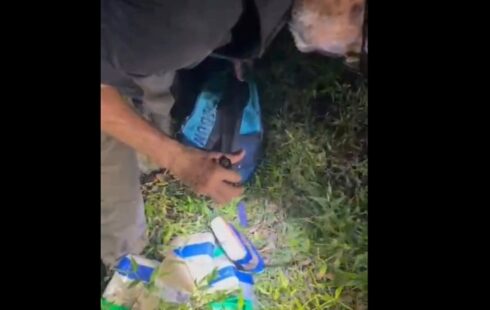 Traficante do CV é preso com 6 kg de drogas e arma que usava para combater desafetos