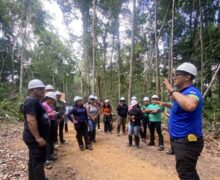 Futuros técnicos em floresta observam como economia e preservação caminham juntos no AP