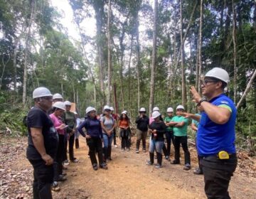 Futuros técnicos em floresta observam como economia e preservação caminham juntos no AP