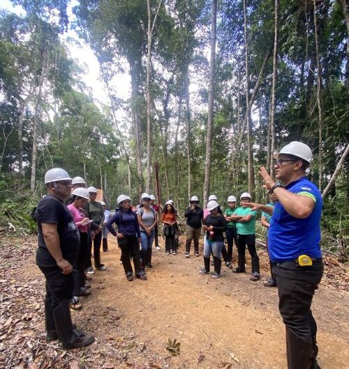Futuros técnicos em floresta observam como economia e preservação caminham juntos no AP