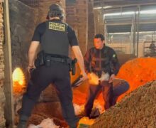 PF incinera quase meia tonelada de drogas que elevariam o poderio do crime organizado