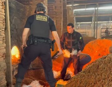 PF incinera quase meia tonelada de drogas que elevariam o poderio do crime organizado