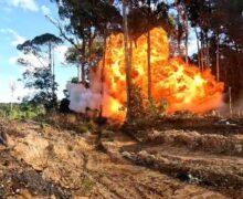 Operações da PF miram garimpo ilegal e desarticulam estrutura milionária no Amapá