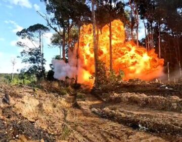 Operações da PF miram garimpo ilegal e desarticulam estrutura milionária no Amapá