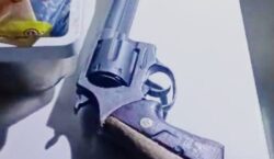 Idoso condenado por estupro é preso após ameaçar ex-esposa e apontar arma para policiais