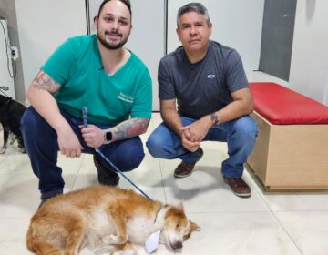 Cegos após agressões, cachorros encontram carinho e amor