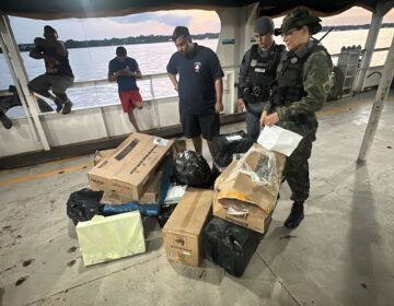 Carga irregular de fogos de artifício, eletrônicos e acessórios é apreendida em Santana