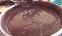 Com 3 mortes e 11 casos confirmados, surto de Chagas mobiliza órgãos de saúde em Macapá