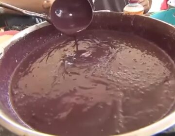 Jovem de 26 anos morre com suspeita de doença de Chagas após consumir açaí