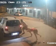 Homem que coleciona BOs espanca, morde e arranca unha da companheira; ele foi preso