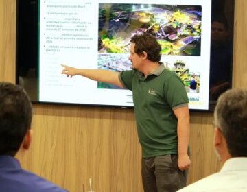 Retomada da mineração no Amapá prevê mais de mil empregos e R$ 1,5 bilhão em investimentos