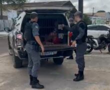 Mulheres são detidas com drogas e dinheiro próximo a colégio militar