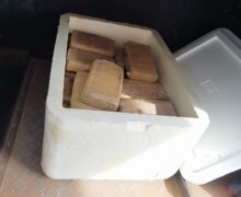 Denarc apreende 33 kg de skank e faz prisão