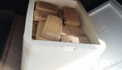 Denarc apreende 33 kg de skank e faz prisão