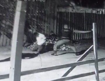 Policiais agridem suspeito de joelhos com pauladas, tapas e chutes