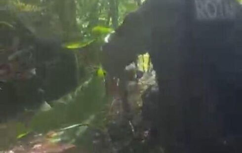 Incursão em mata termina com morte de líder de facção