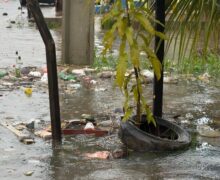 Chuvas provocam prejuízos e transformam ruas em rio de lixo em Macapá