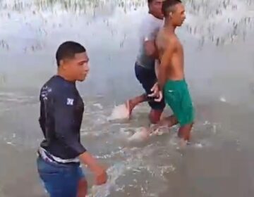 Após dias de cerco na mata, ‘Lázaro do Marajó’ é preso por populares