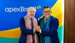 Açaí do Amapá mira mercado indiano com articulação internacional