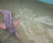 Boto-cor-de-rosa resgatado em canal morre após atendimento