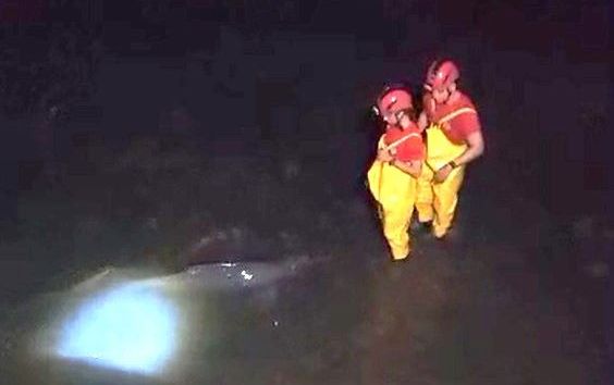 Botos encalhados mobilizam operação de salvamento em Macapá