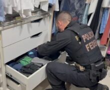 A PF que dá em Chico é a mesma que dá em Francisco