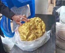 ‘Pepita de ouro gigante’ viraliza, mas expõe drama de garimpeiro em Oiapoque