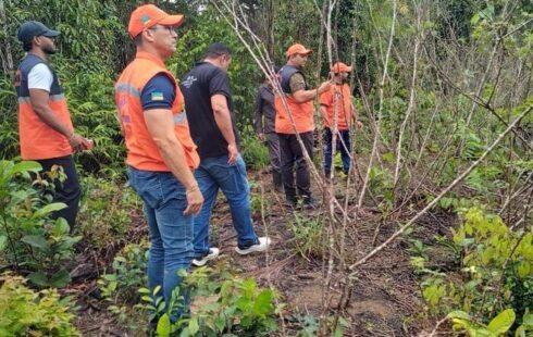 Vassoura-de-bruxa chega a Santana e acende alerta para avanço da praga no Amapá