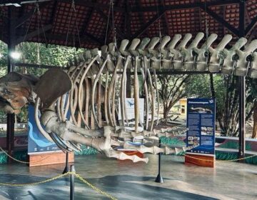 Museu Sacaca chega aos 24 anos com programação especial